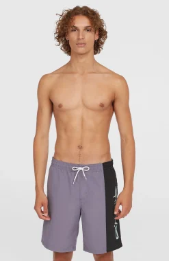 HommesShort de bain Retro 19''| Violet Mix