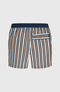 HommesShorts de bain O'Riginals Stripe 15| Bleu
