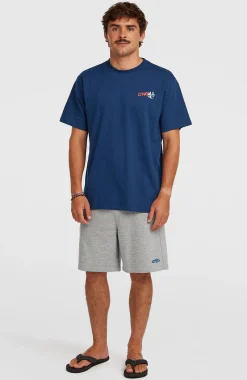 HommesShorts de survêtement Essentials 90s| Gris
