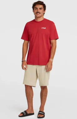 HommesShorts Hybrid 19" Melange| Beige
