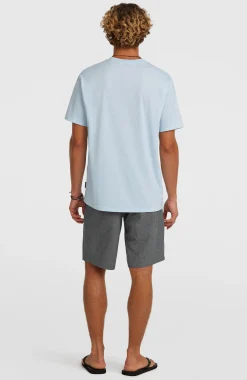 HommesShorts Hybrid 19