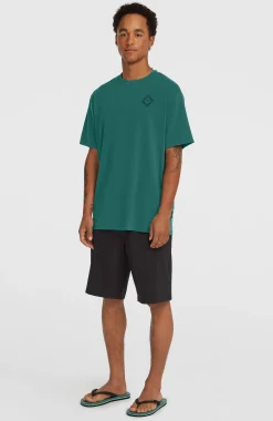 HommesShorts Hybrid 19"| Noire