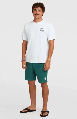 HommesShorts O'Riginals Cord| Vert