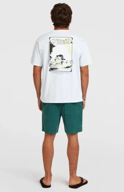 HommesShorts O'Riginals Cord| Vert