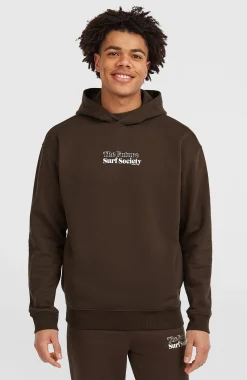 HommesSweat à capuche Future Surf Society| Brun