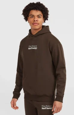 HommesSweat à capuche Future Surf Society| Brun