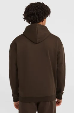 HommesSweat à capuche Future Surf Society| Brun