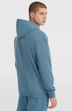 HommesSweat à capuche Future Surf Society| Bleu