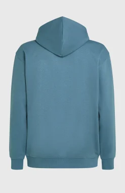 HommesSweat à capuche Future Surf Society| Bleu