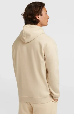 HommesSweat à capuche Future Surf Society| Beige