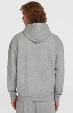 HommesSweat à capuche Future Surf Society| Gris