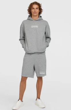 HommesSweat à capuche Future Surf Society| Gris