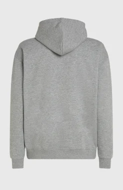 HommesSweat à capuche Future Surf Society| Gris
