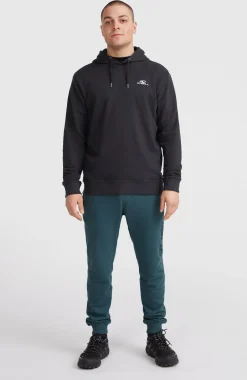 HommesSweat à capuche O'Neill Small Logo| Noire