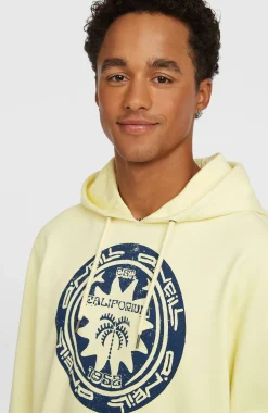 HommesSweat à capuche O'Neill Must-Have Graphic| Jaune