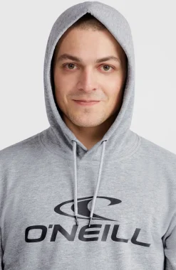 HommesSweat à capuche O'Neill Logo| Gris