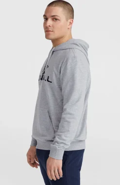 HommesSweat à capuche O'Neill Logo| Gris