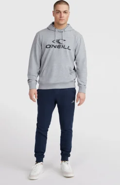 HommesSweat à capuche O'Neill Logo| Gris