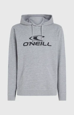 HommesSweat à capuche O'Neill Logo| Gris