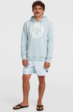 HommesSweat à capuche O'Neill Must-Have Graphic| Bleu