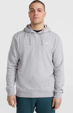 HommesSweat à capuche O'Neill Small Logo| Gris