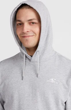 HommesSweat à capuche O'Neill Small Logo| Gris