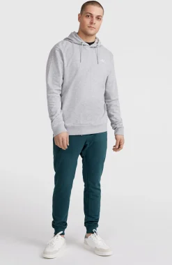 HommesSweat à capuche O'Neill Small Logo| Gris
