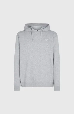 HommesSweat à capuche O'Neill Small Logo| Gris
