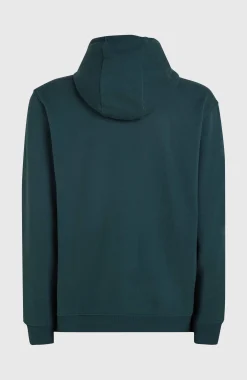 HommesSweat à capuche O'Neill Front Print| Bleu
