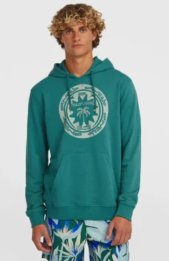 HommesSweat à capuche O'Neill Must-Have Graphic| Vert
