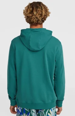HommesSweat à capuche O'Neill Must-Have Graphic| Vert