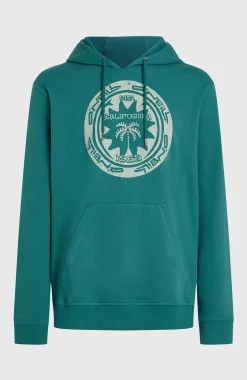 HommesSweat à capuche O'Neill Must-Have Graphic| Vert
