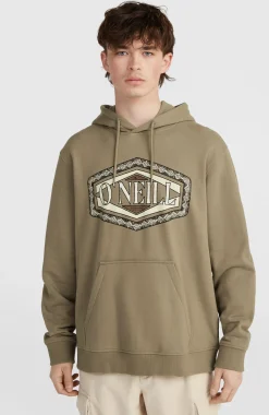 HommesSweat à capuche O'Neill Front Print| Brun