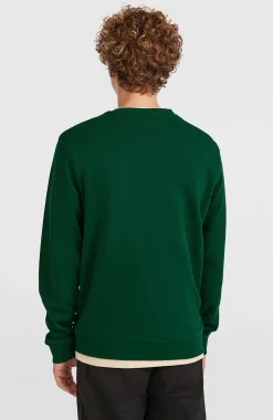 HommesSweatshirt à col rond Small Logo| Vert