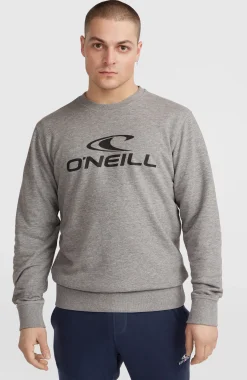 HommesSweatshirt à col rond O'Neill Logo| Gris
