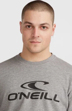 HommesSweatshirt à col rond O'Neill Logo| Gris