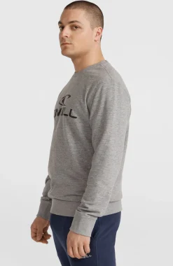 HommesSweatshirt à col rond O'Neill Logo| Gris