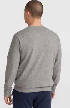 HommesSweatshirt à col rond O'Neill Logo| Gris