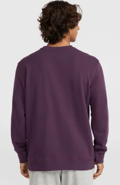 HommesSweatshirt à col rond Small Logo| Violet