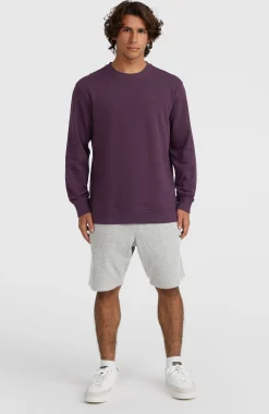 HommesSweatshirt à col rond Small Logo| Violet