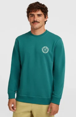 HommesSweatshirt O'Neill Must-Have Graphic Crew| Vert