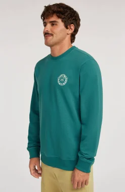 HommesSweatshirt O'Neill Must-Have Graphic Crew| Vert