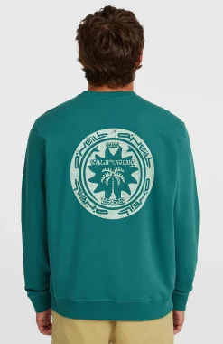 HommesSweatshirt O'Neill Must-Have Graphic Crew| Vert