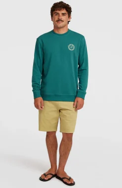 HommesSweatshirt O'Neill Must-Have Graphic Crew| Vert