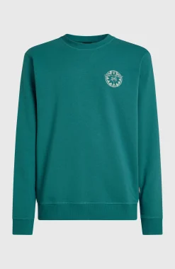 HommesSweatshirt O'Neill Must-Have Graphic Crew| Vert