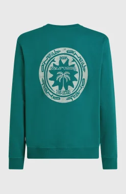 HommesSweatshirt O'Neill Must-Have Graphic Crew| Vert