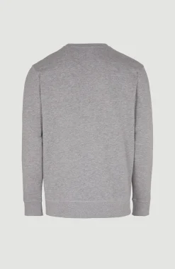 HommesSweatshirt O'Neill Small Logo Crew| Gris