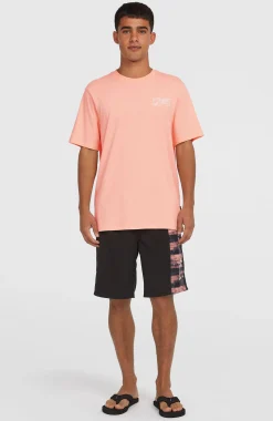 HommesT-shirt Box Logo| Rose