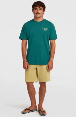 HommesT-shirt Box Logo| Vert