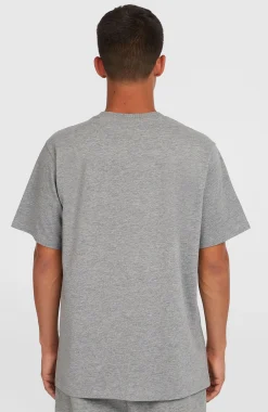HommesT-shirt Future Surf Society| Gris